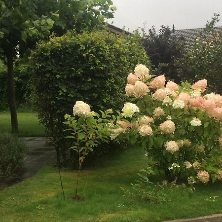 Bergen Holiday Home Schoorl Bagian luar foto