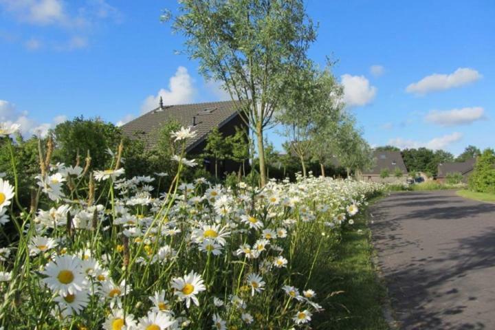Bergen Holiday Home Schoorl Bagian luar foto